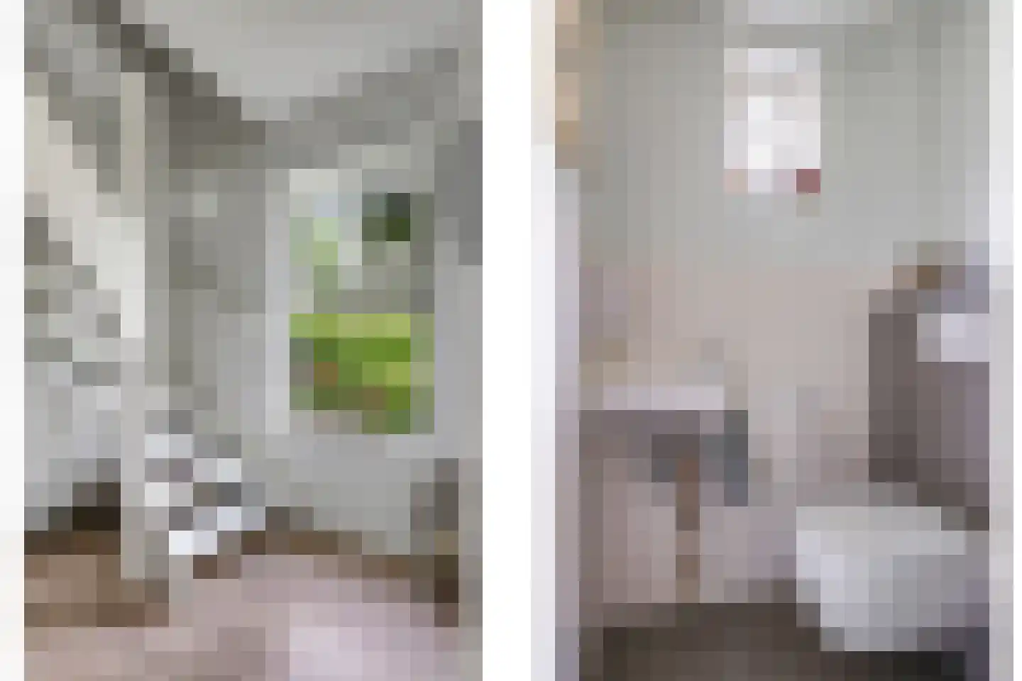 Reuvekampstraat 2 Driel thumbnail 44