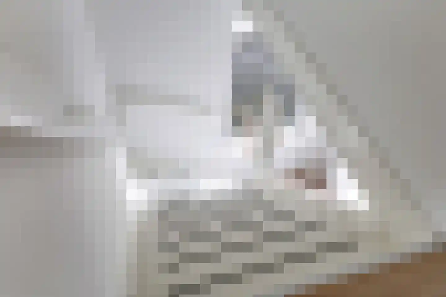 Reuvekampstraat 2 Driel thumbnail 46