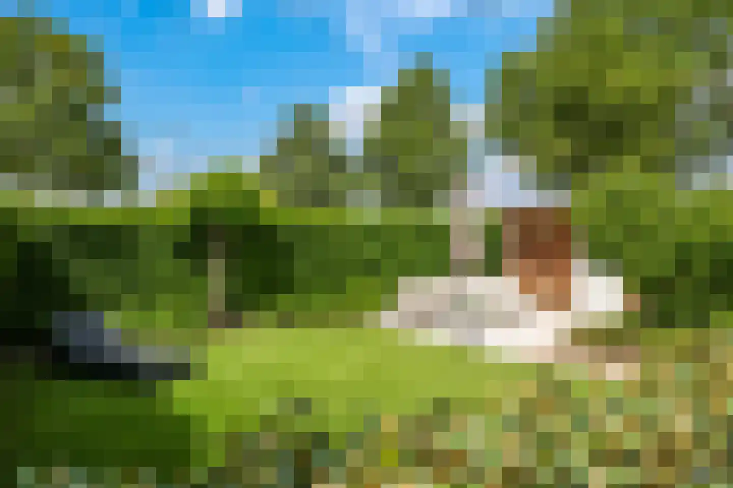 Reuvekampstraat 2 Driel thumbnail 5