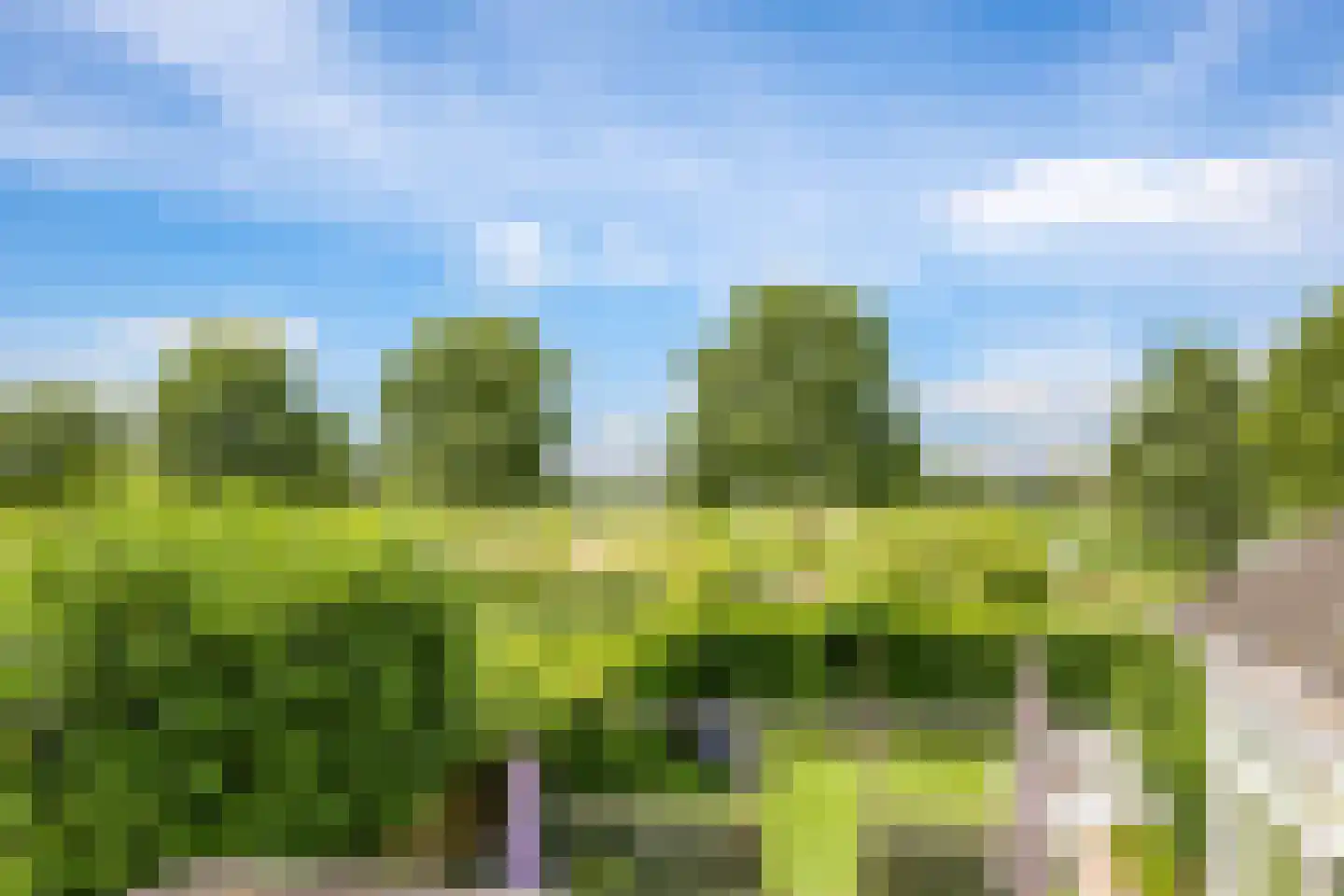 Reuvekampstraat 2 Driel thumbnail 50