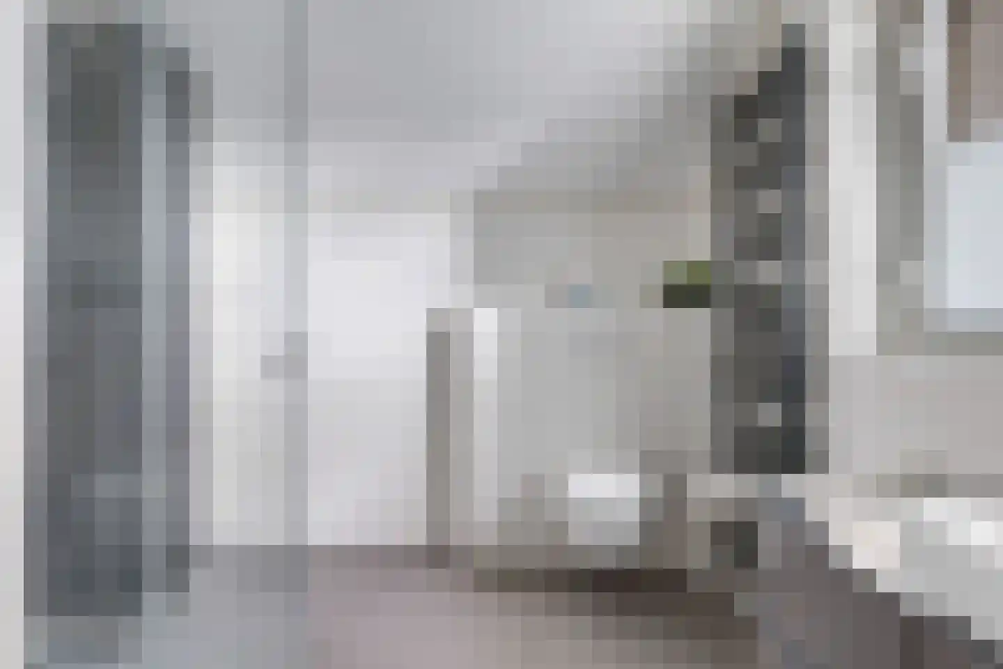 Reuvekampstraat 2 Driel thumbnail 55