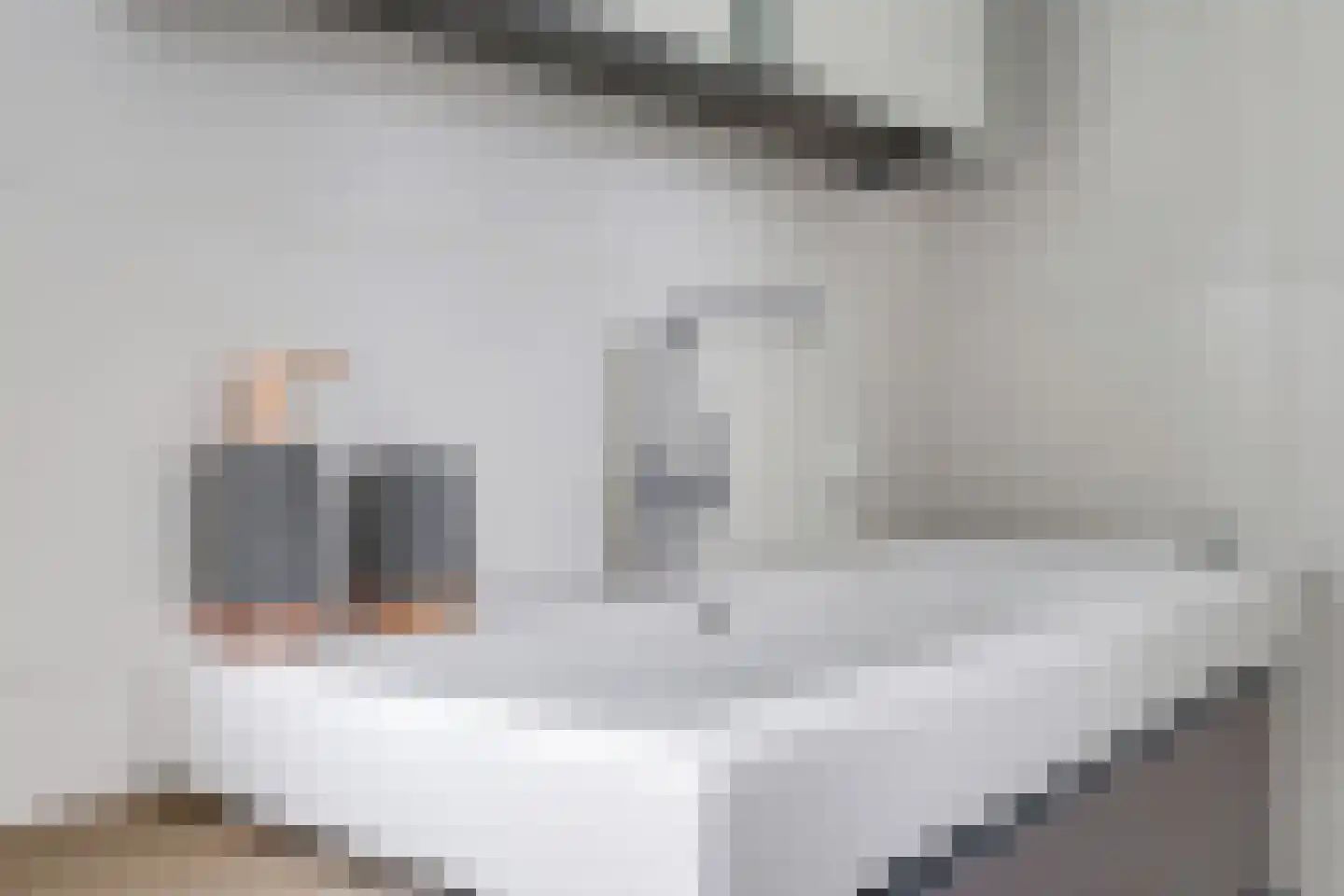 Reuvekampstraat 2 Driel thumbnail 57