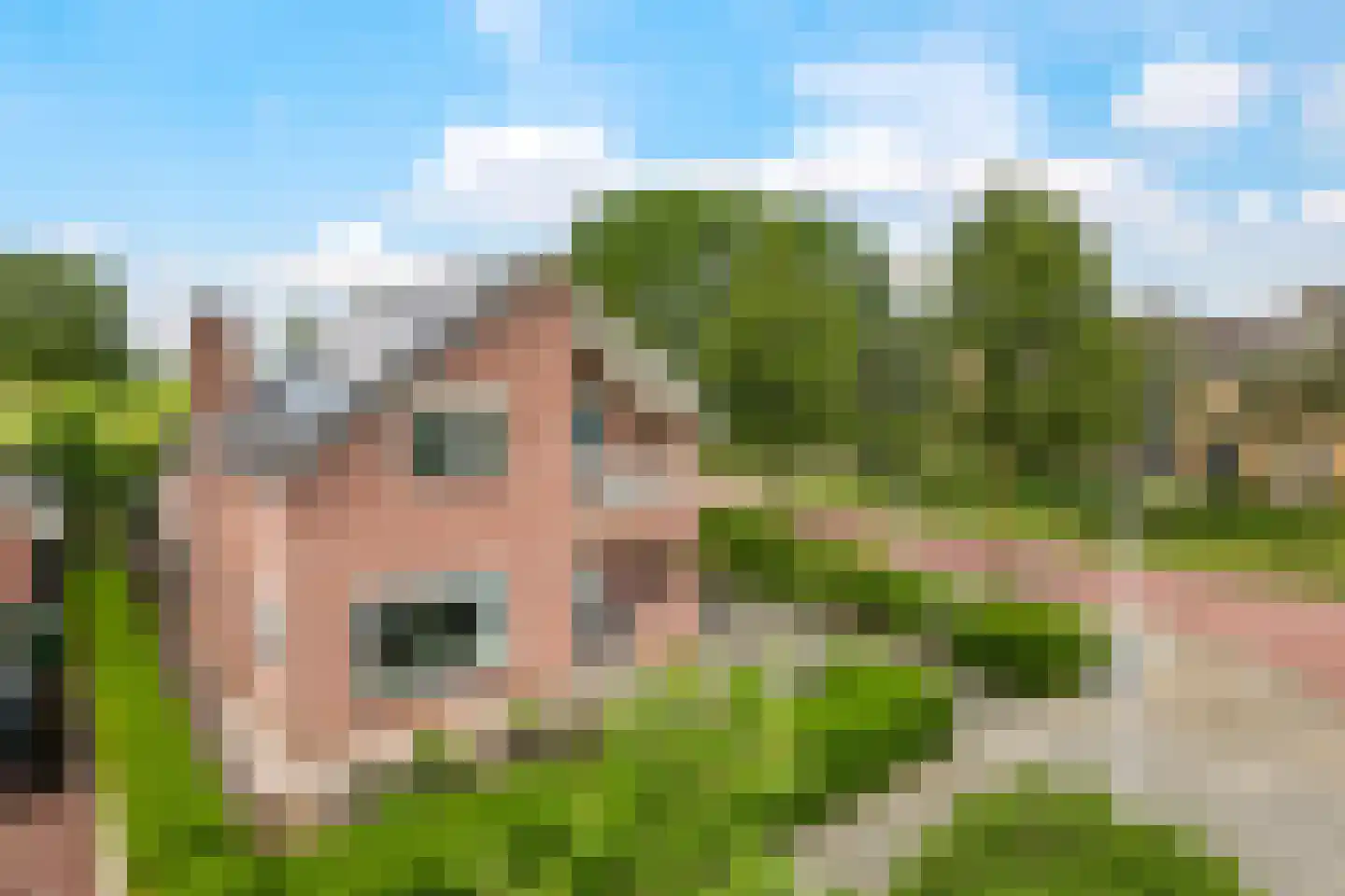 Reuvekampstraat 2 Driel thumbnail 6
