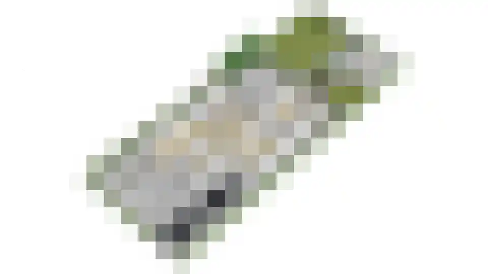 Reuvekampstraat 2 Driel thumbnail 64