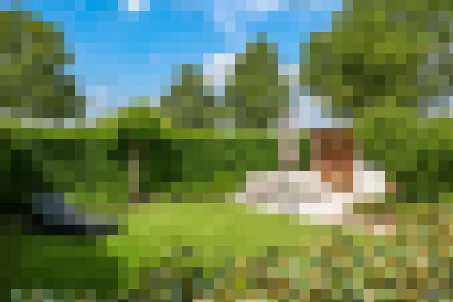 Reuvekampstraat 2 Driel thumbnail 70