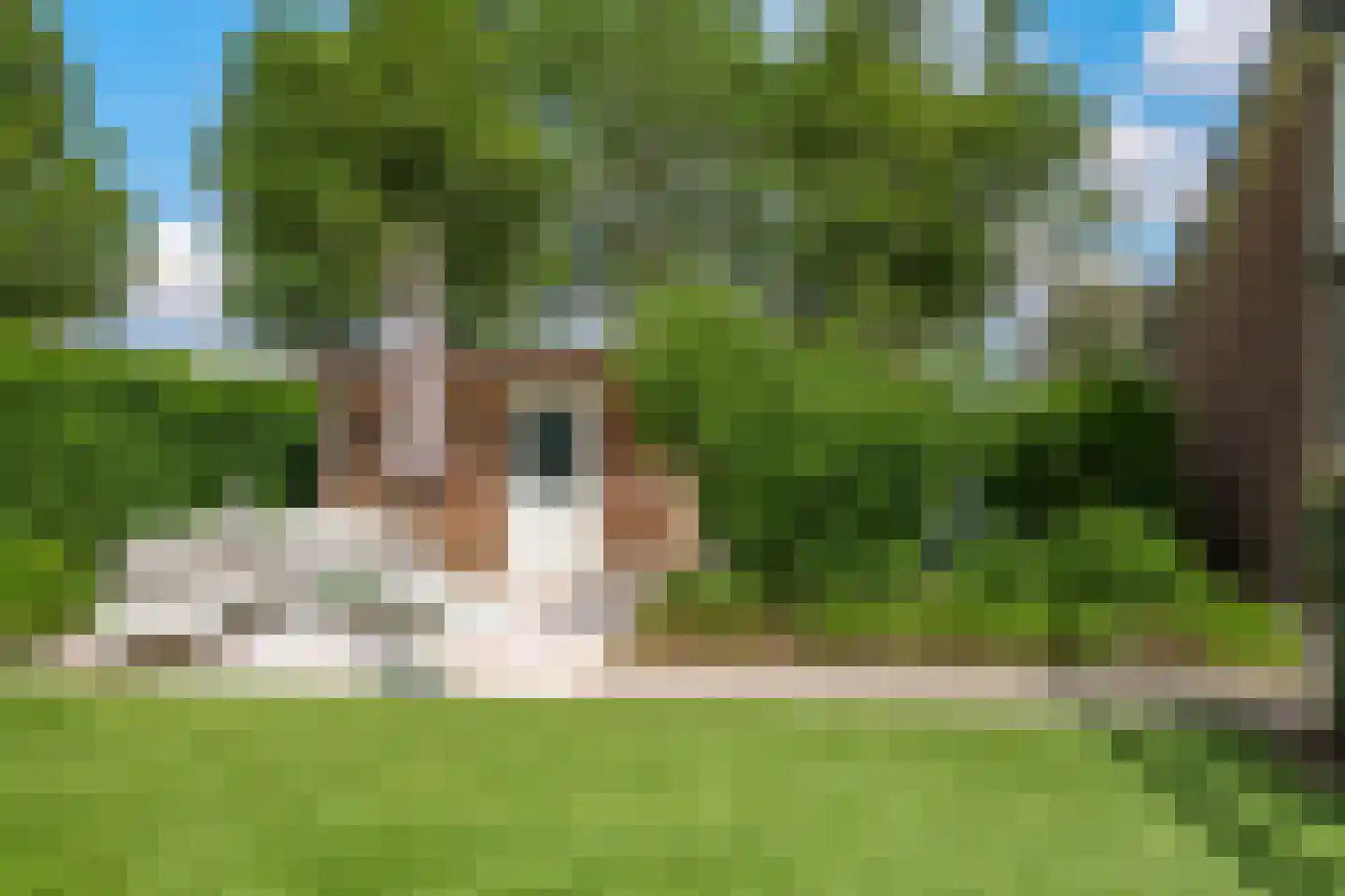 Reuvekampstraat 2 Driel thumbnail 73