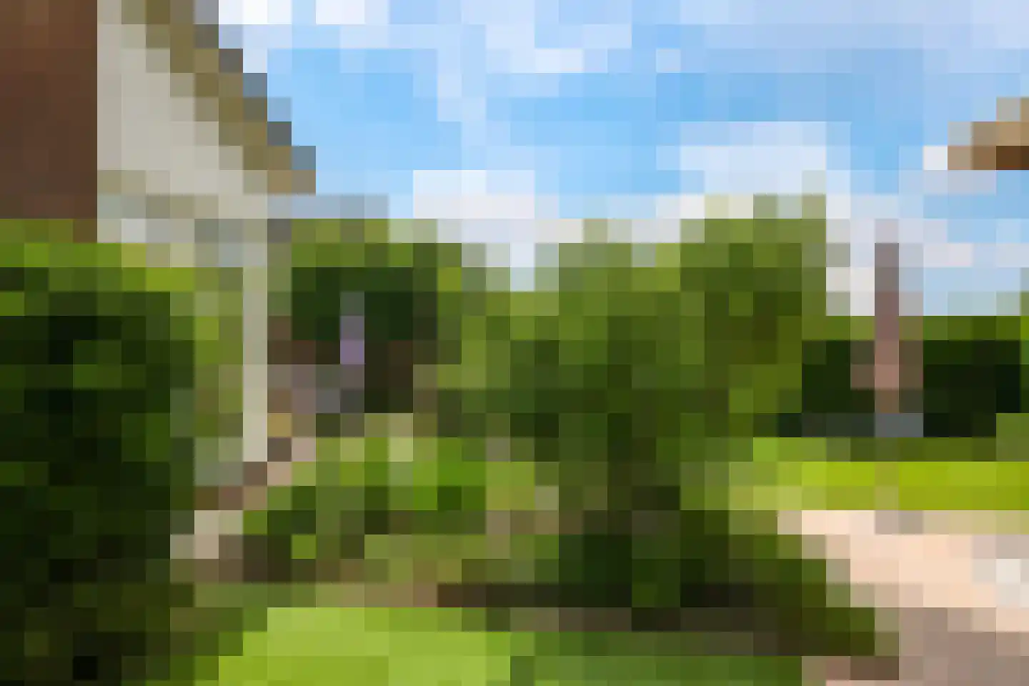 Reuvekampstraat 2 Driel thumbnail 77