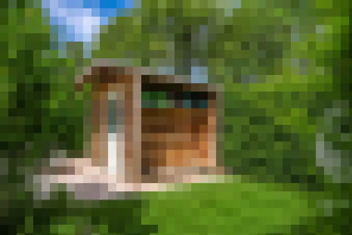 Reuvekampstraat 2 Driel thumbnail 80