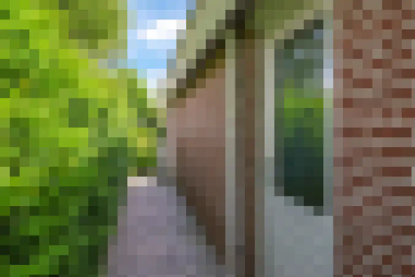 Reuvekampstraat 2 Driel thumbnail 81
