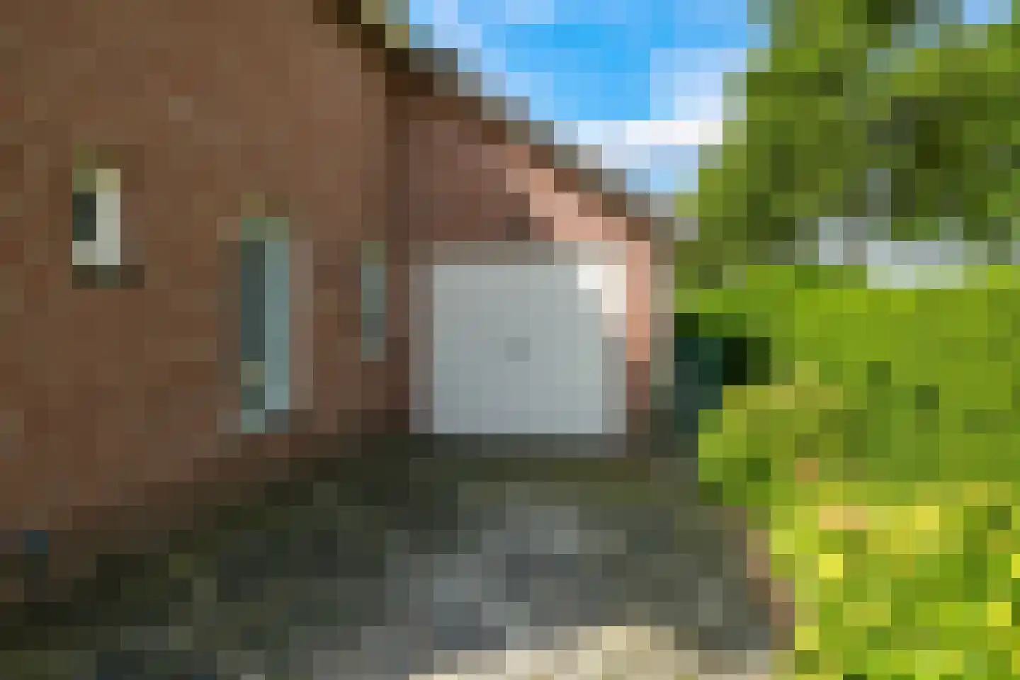Reuvekampstraat 2 Driel thumbnail 82