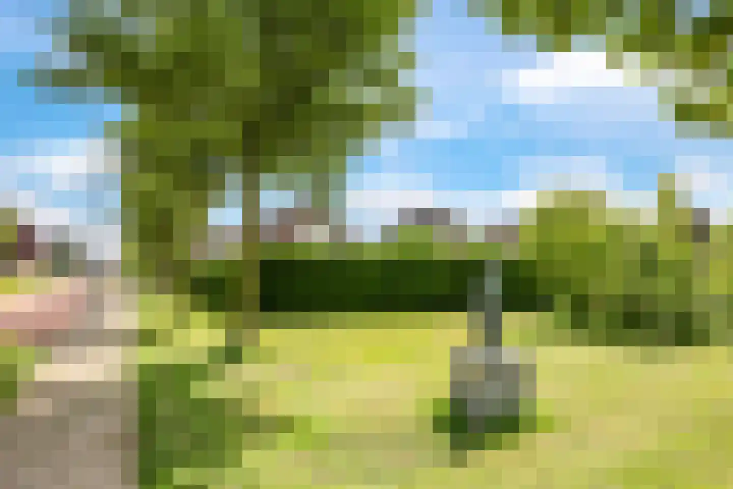 Reuvekampstraat 2 Driel thumbnail 94