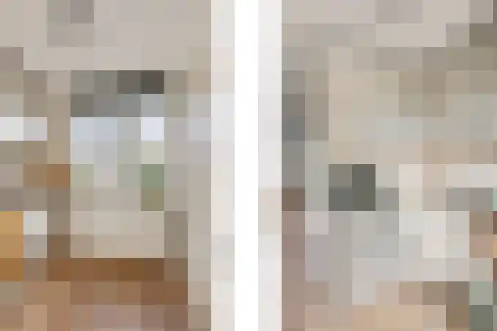Reuvekampstraat 24 Driel thumbnail 11