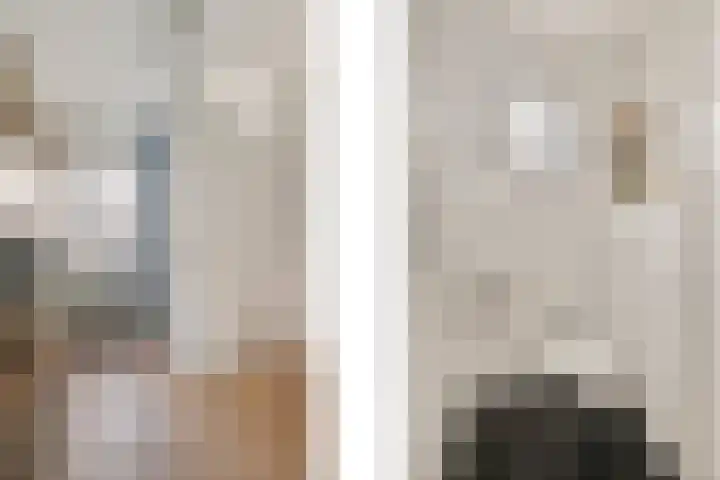 Reuvekampstraat 24 Driel thumbnail 13