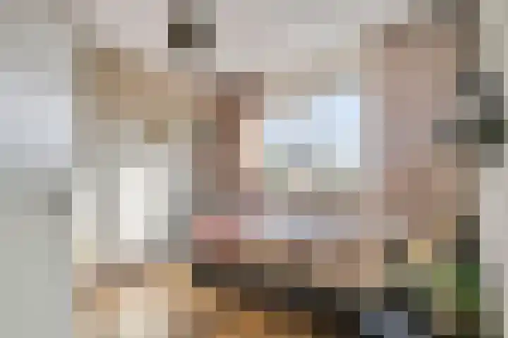 Reuvekampstraat 24 Driel thumbnail 18
