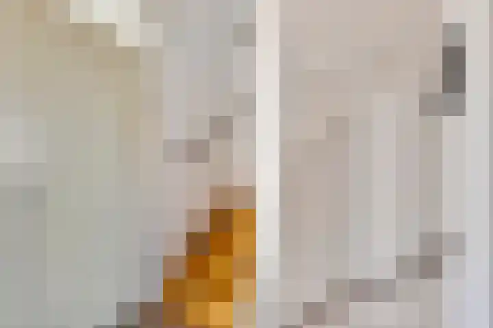 Reuvekampstraat 24 Driel thumbnail 23