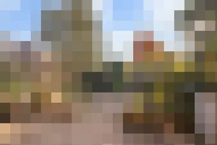Reuvekampstraat 24 Driel thumbnail 30