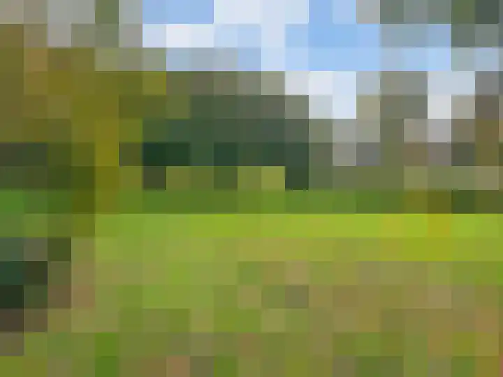 Reuvekampstraat 24 Driel thumbnail 37