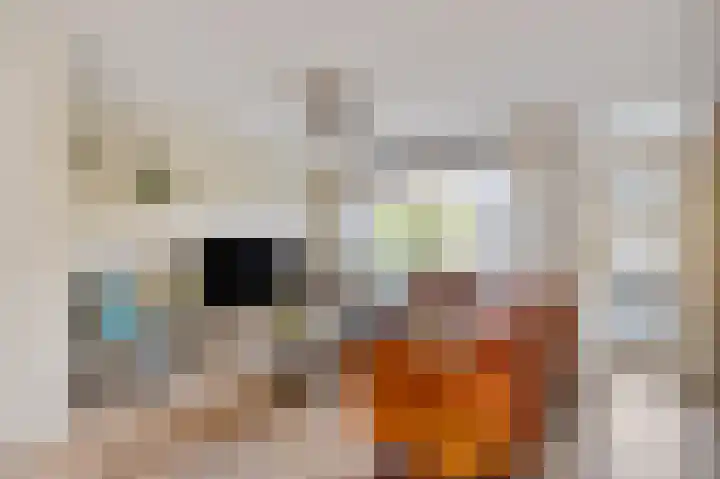 Reuvekampstraat 24 Driel thumbnail 5