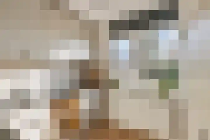 Reuvekampstraat 24 Driel thumbnail 9