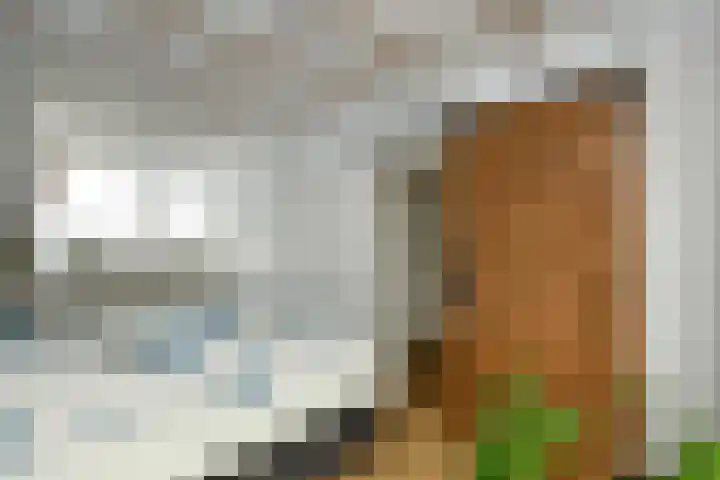 Reuvekampstraat 35 Driel thumbnail 27