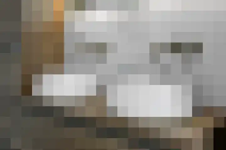 Reuvekampstraat 35 Driel thumbnail 40