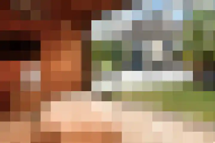 Reuvekampstraat 35 Driel thumbnail 51
