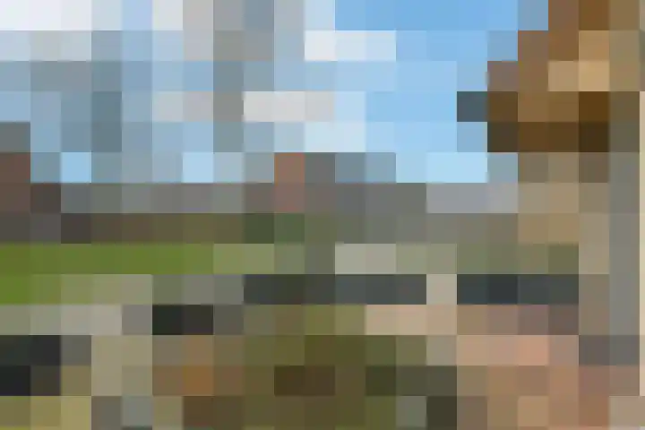 Reuvekampstraat 35 Driel thumbnail 55