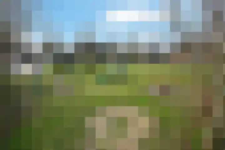 Reuvekampstraat 35 Driel thumbnail 56
