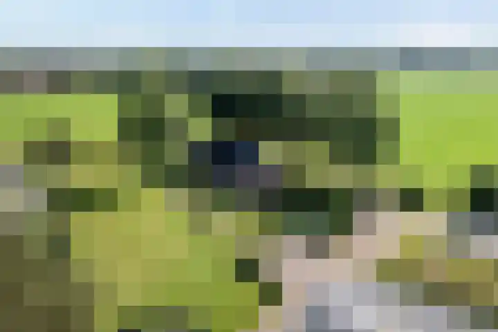 Reuveldsweg 5 a in Broekland