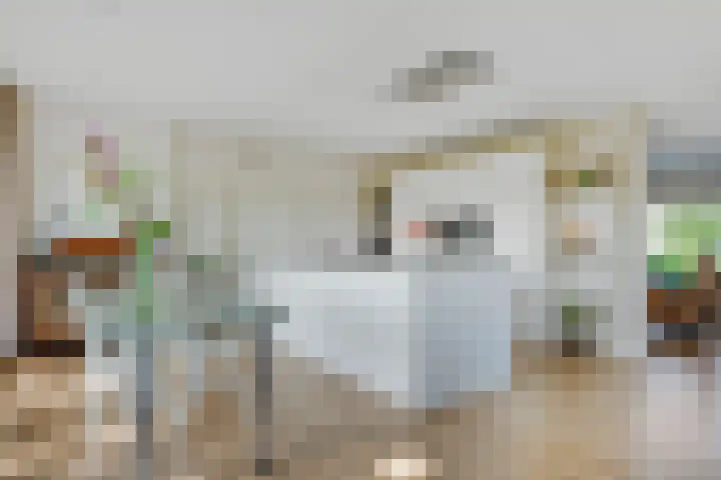 Reuveldsweg 5 a Broekland thumbnail 10