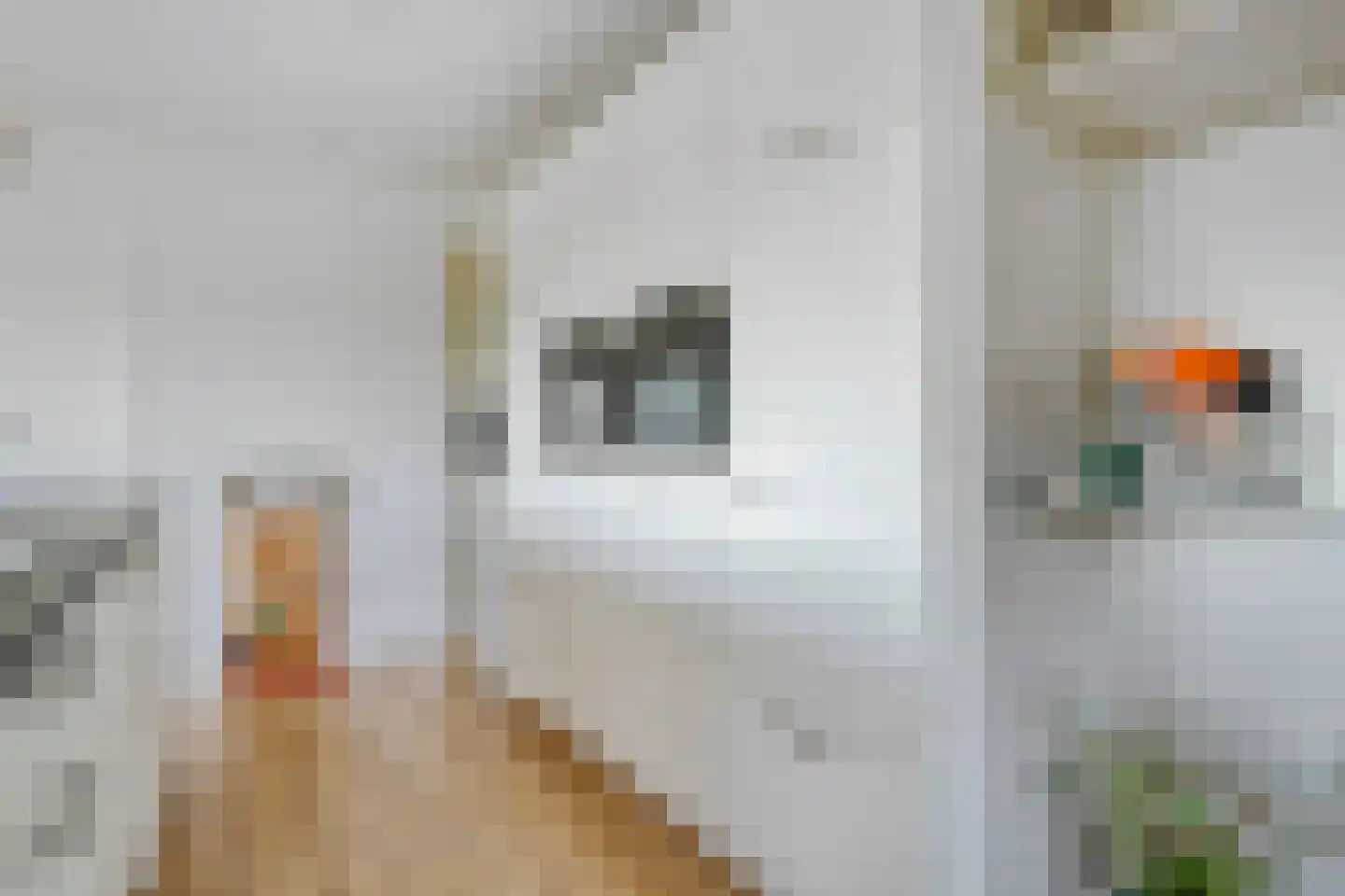 Reuveldsweg 5 a Broekland thumbnail 11