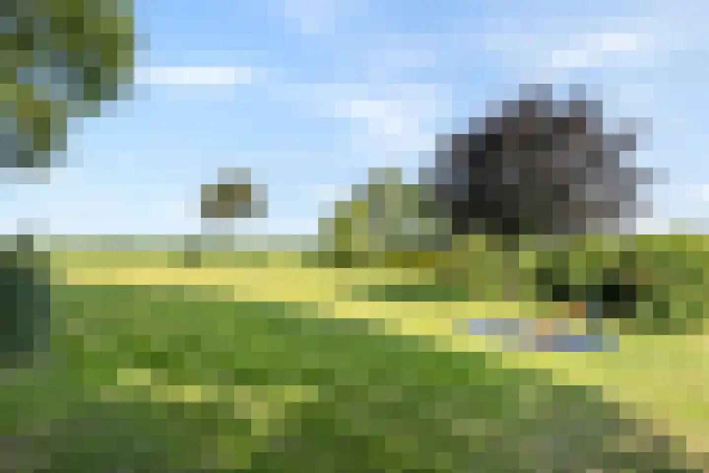 Reuveldsweg 5 a Broekland thumbnail 39