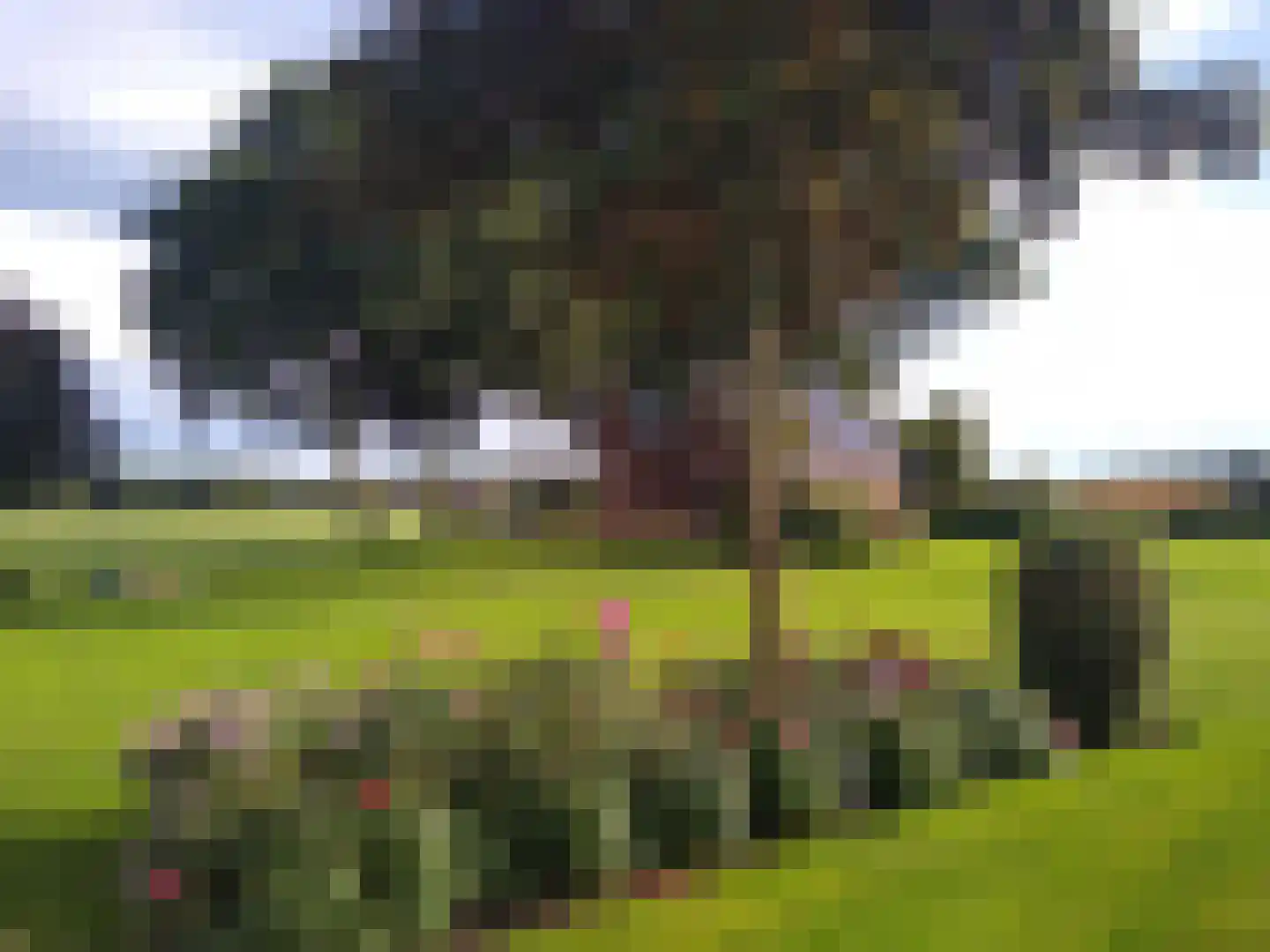 Reuveldsweg 5 a Broekland thumbnail 46