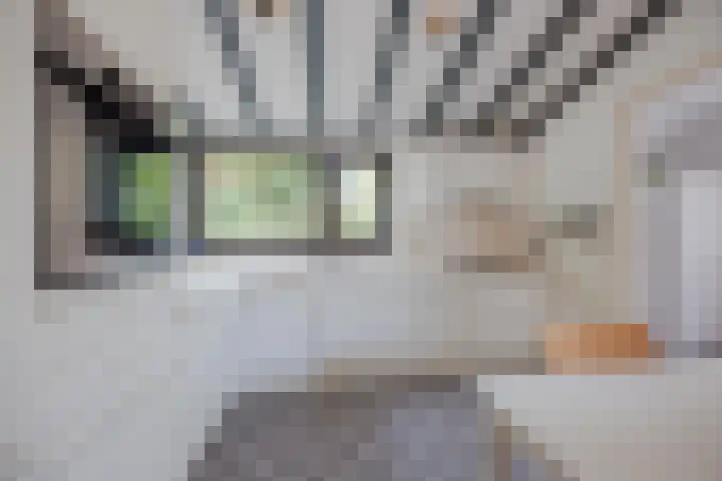Reuveltweg 28 a Grubbenvorst thumbnail 17