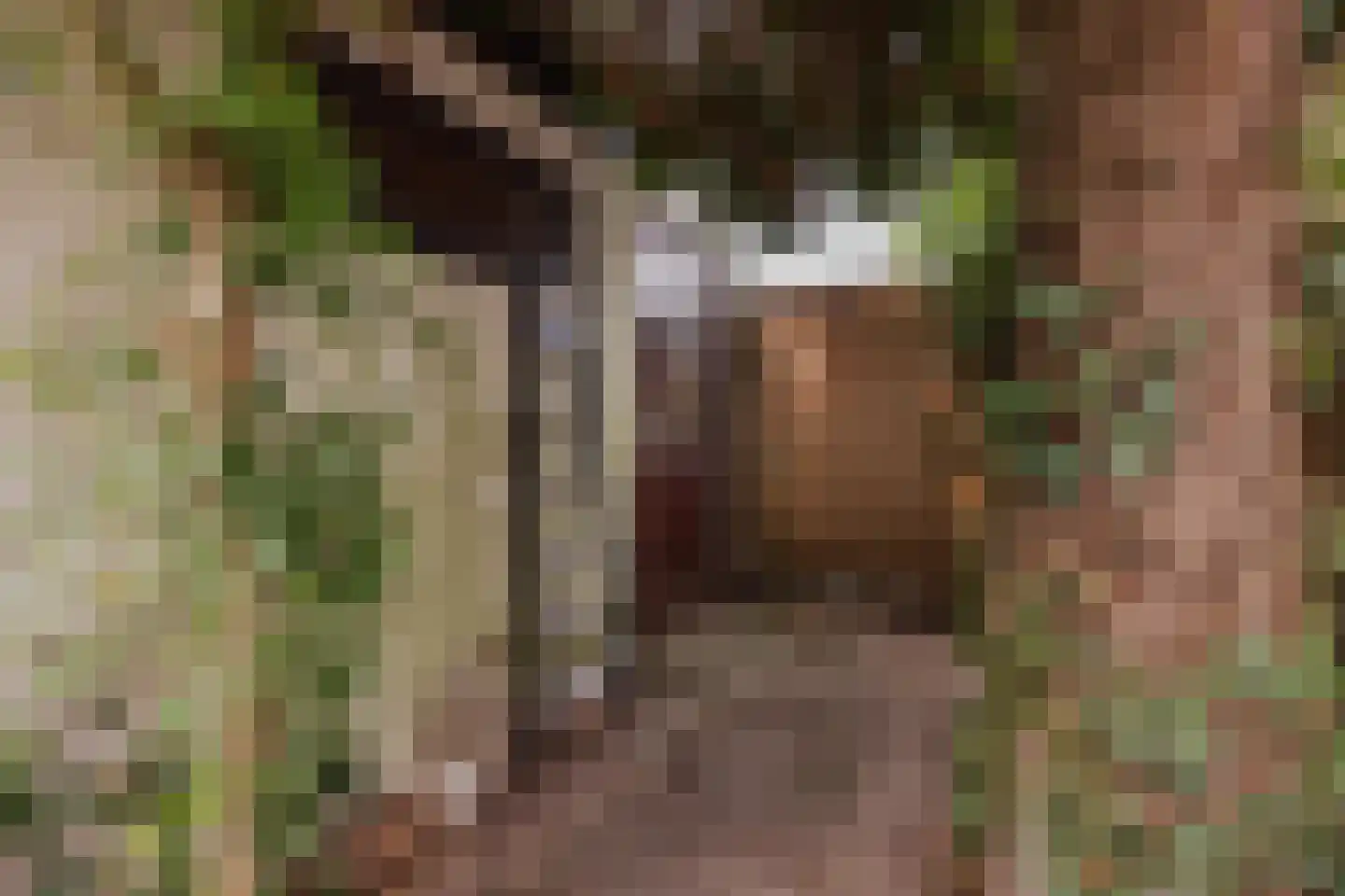 Reuveltweg 28 a Grubbenvorst thumbnail 38