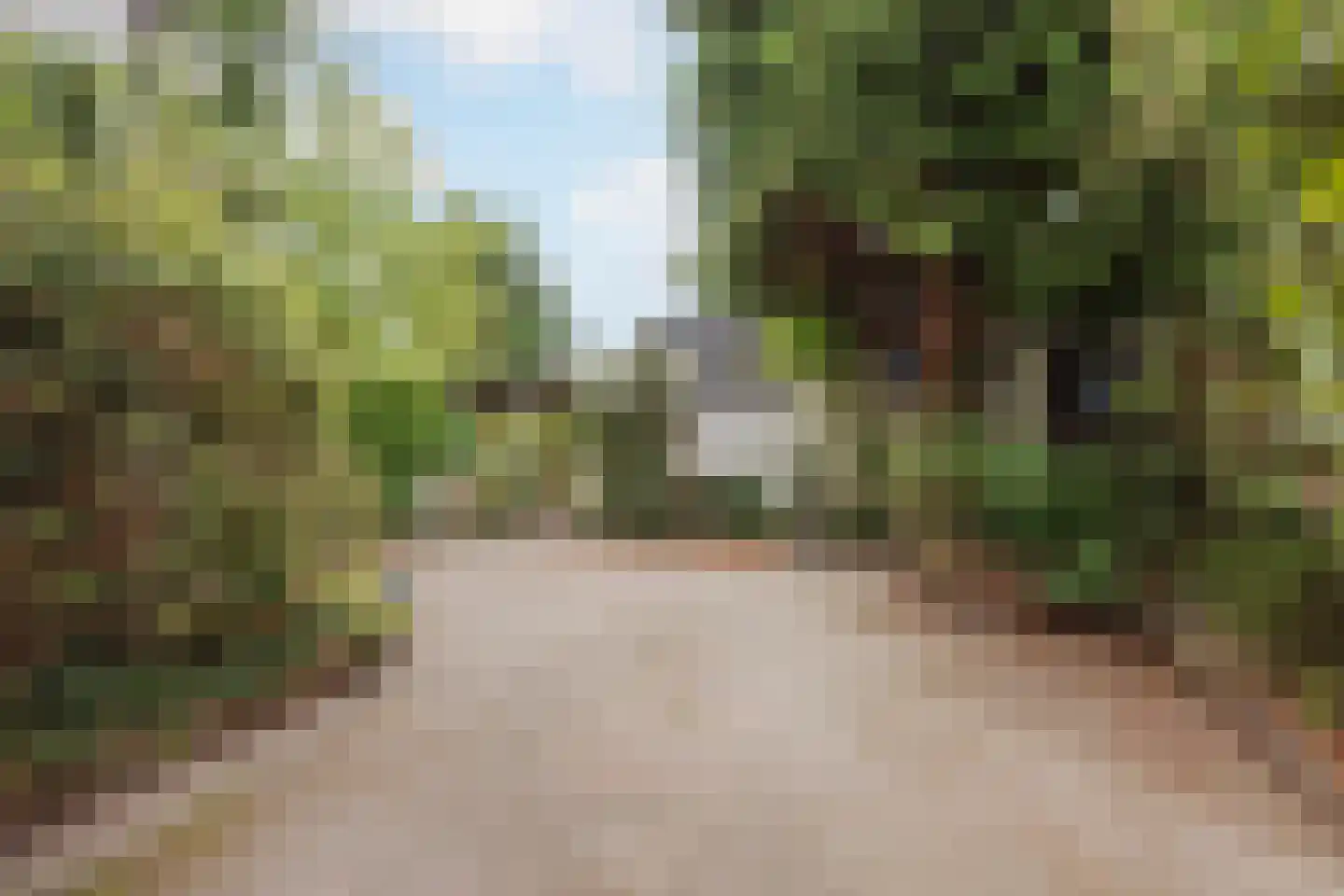 Reuveltweg 28 a Grubbenvorst thumbnail 39