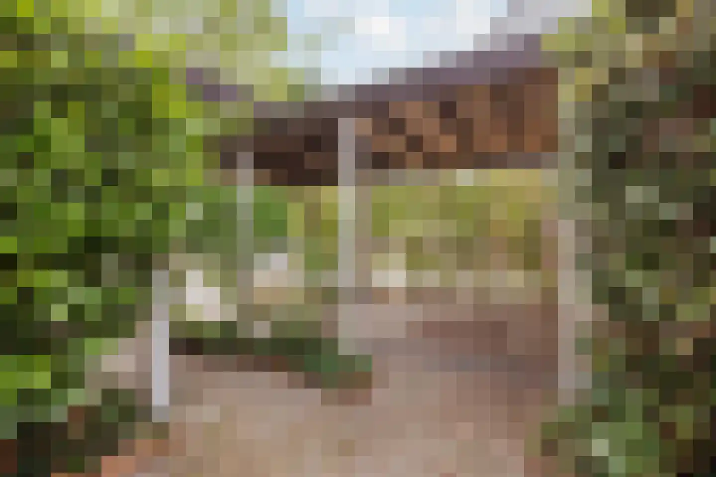 Reuveltweg 28 a Grubbenvorst thumbnail 40