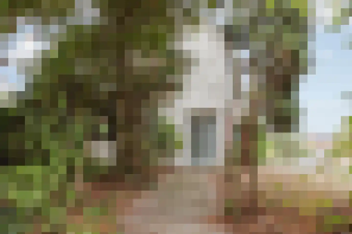 Reuveltweg 28 a Grubbenvorst thumbnail 7