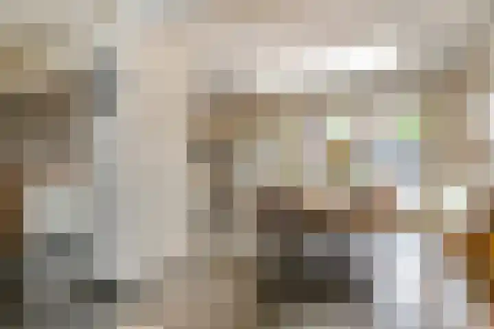 Reuveltweg 34 Grubbenvorst thumbnail 11