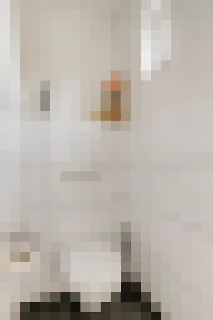 Reuveltweg 34 Grubbenvorst thumbnail 19
