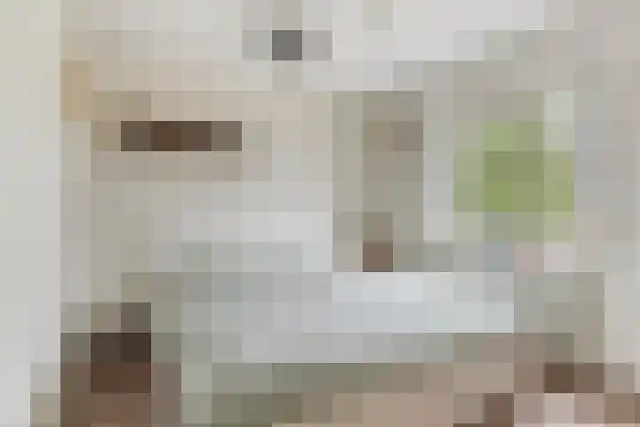 Reuveltweg 34 Grubbenvorst thumbnail 23