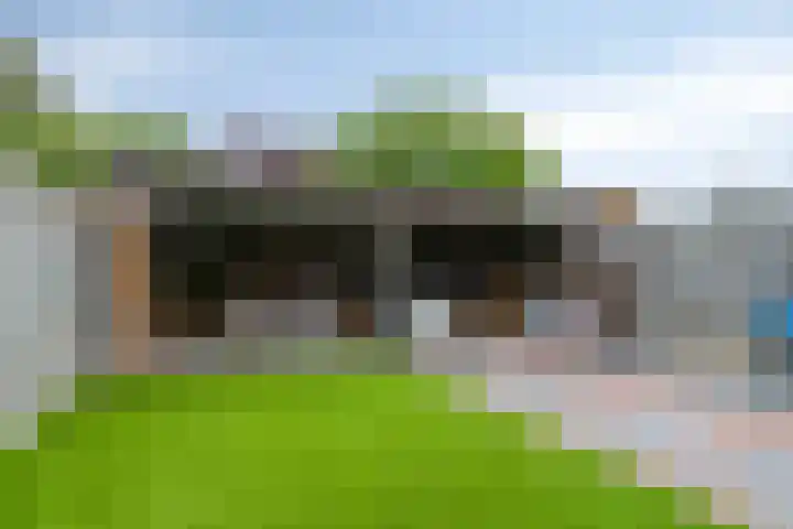 Reuveltweg 34 Grubbenvorst thumbnail 33