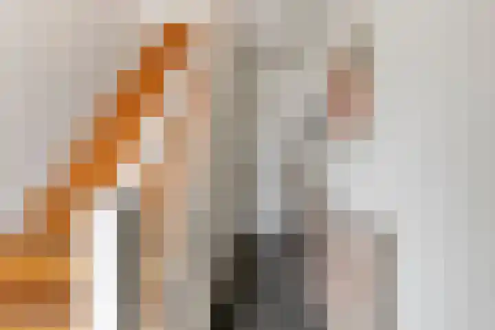 Reuveltweg 34 Grubbenvorst thumbnail 4