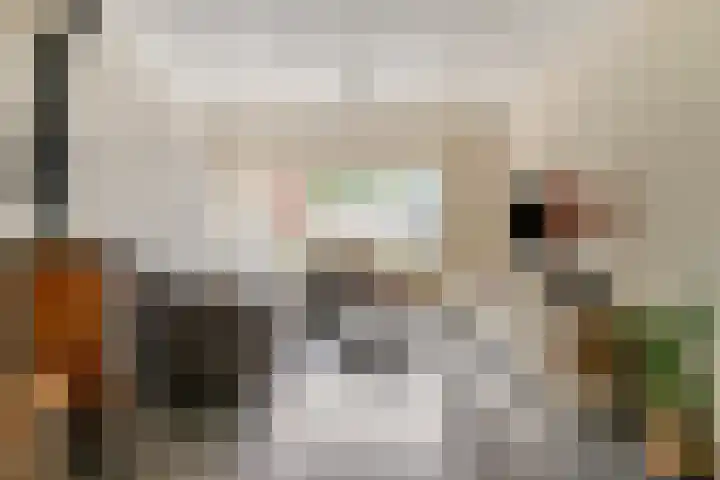 Reuveltweg 34 Grubbenvorst thumbnail 6