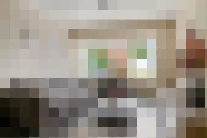 Reuveltweg 34 Grubbenvorst thumbnail 7