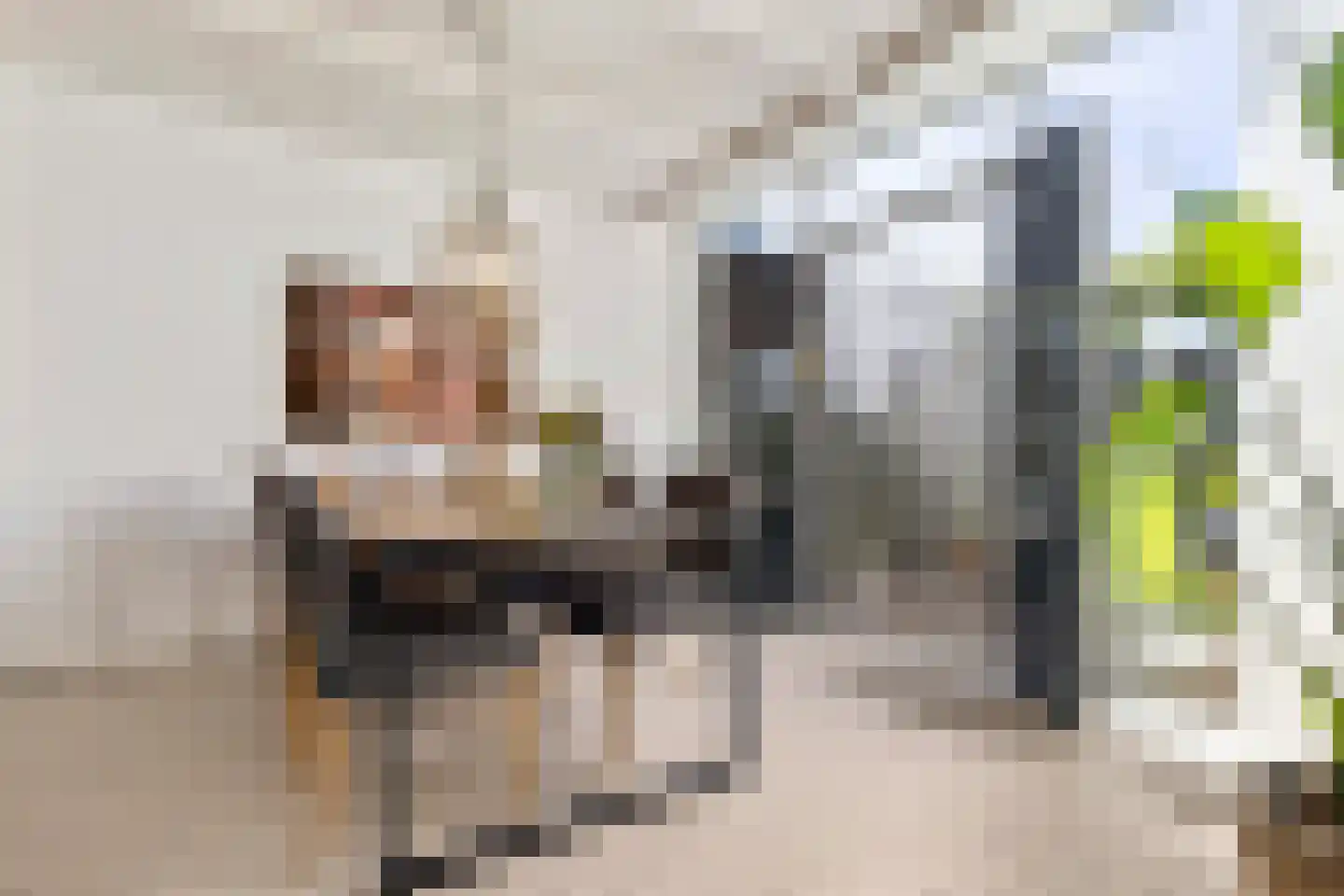 Reuveltweg 60 Grubbenvorst thumbnail 19