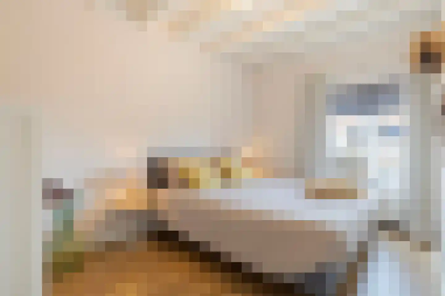 Reuveltweg 60 Grubbenvorst thumbnail 25