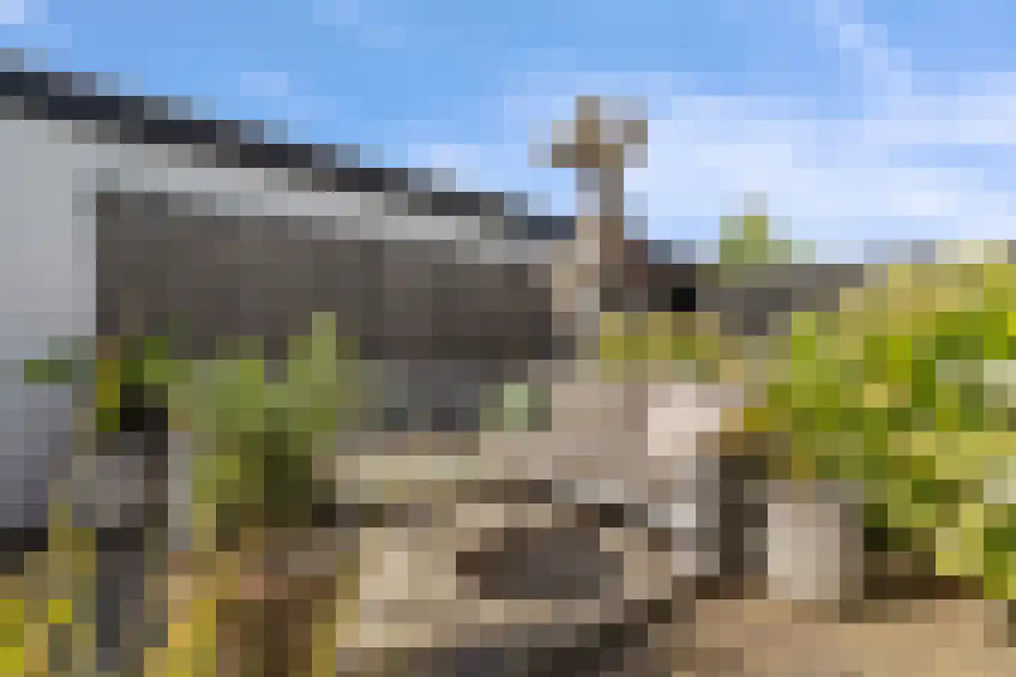 Reuveltweg 60 Grubbenvorst thumbnail 34
