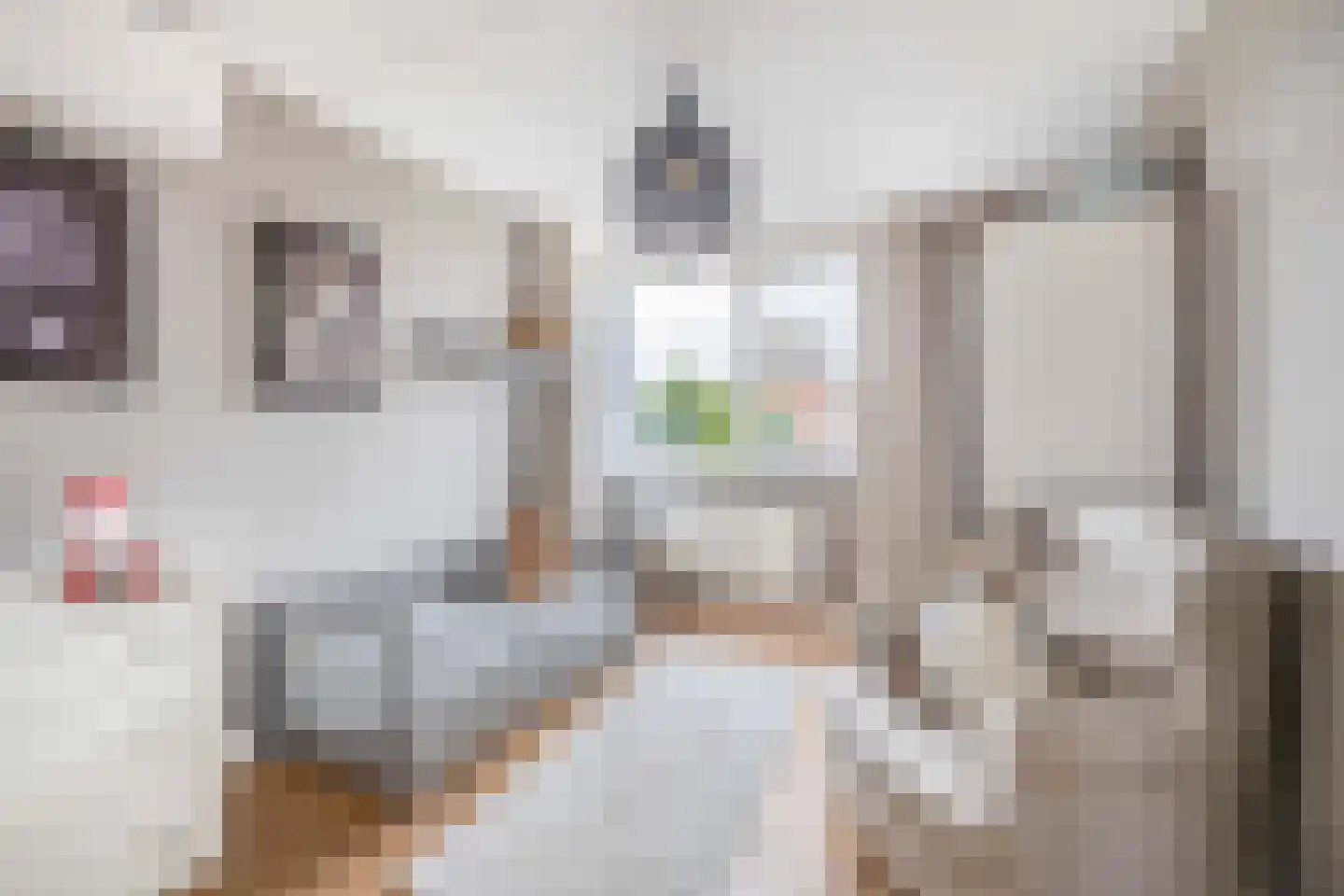 Reuveltweg 64 Grubbenvorst thumbnail 15