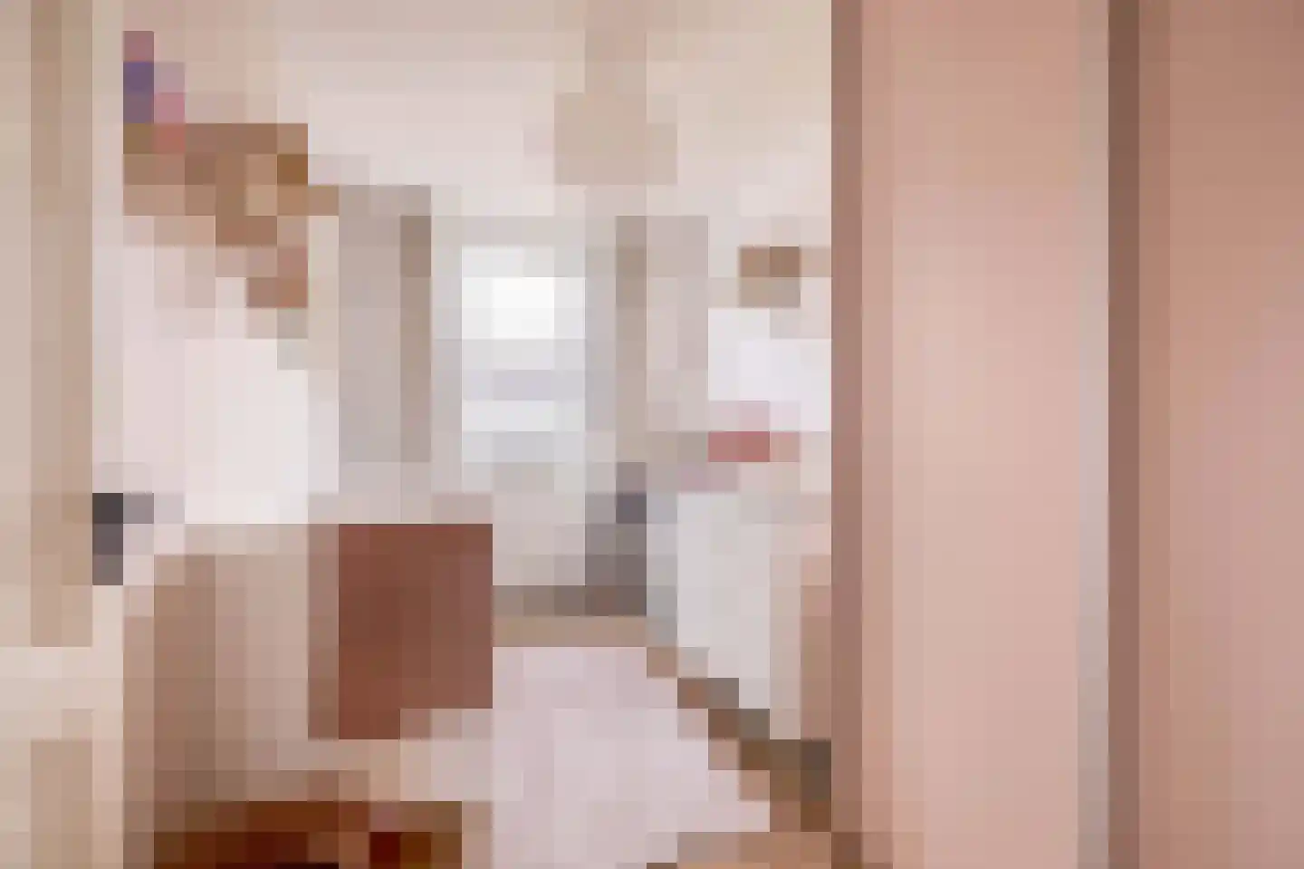 Reuveltweg 64 Grubbenvorst thumbnail 16